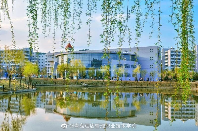 与你相约山海 青岛酒店管理职业技术学院酒店管理专业全景解读